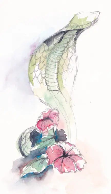 Watercolour painting
